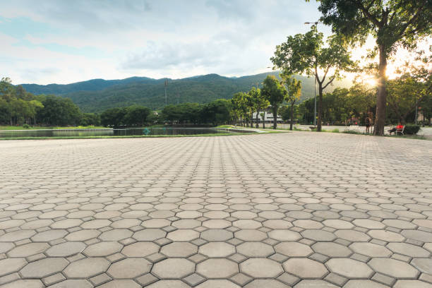 Best Driveway Paver Sealing  in Campton Hls, IL